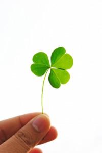 shamrock