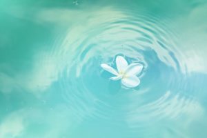 Power vs. Force and Vibrational Energy